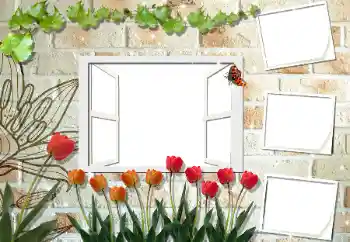 Photo effect from category Women's photo frames № 53297 Photo effect from category Women's photo frames № 53297