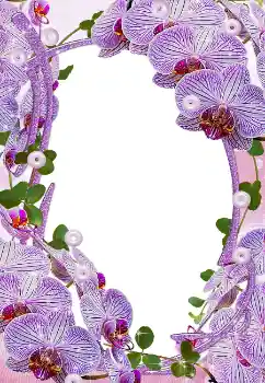 Photo effect from category Women's photo frames № 5465 Photo effect from category Women's photo frames № 5465