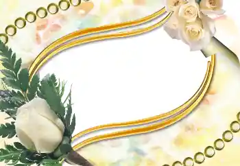 Photo effect from category Women's photo frames № 5504 Photo effect from category Women's photo frames № 5504