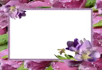 Photo effect from category Women's photo frames № 5506 Photo effect from category Women's photo frames № 5506
