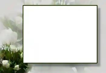 Photo effect from category Women's photo frames № 55444 Photo effect from category Women's photo frames № 55444