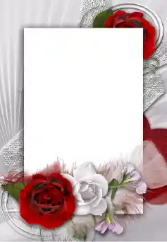 Photo effect from category Women's photo frames № 55454 Photo effect from category Women's photo frames № 55454