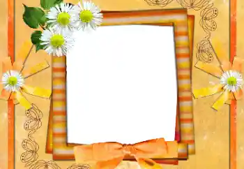 Photo effect from category Women's photo frames № 55469 Photo effect from category Women's photo frames № 55469