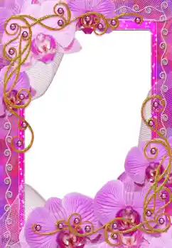 Photo effect from category Women's photo frames № 55475 Photo effect from category Women's photo frames № 55475