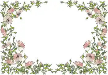 Photo effect from category Women's photo frames № 55495 Photo effect from category Women's photo frames № 55495