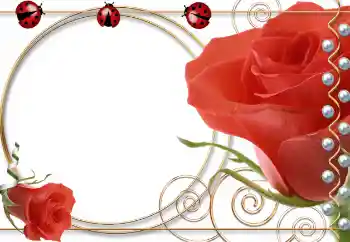 Photo effect from category Women's photo frames № 55521 Photo effect from category Women's photo frames № 55521