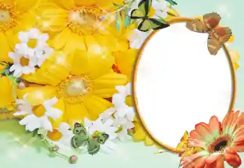 Photo effect from category Women's photo frames № 55529 Photo effect from category Women's photo frames № 55529