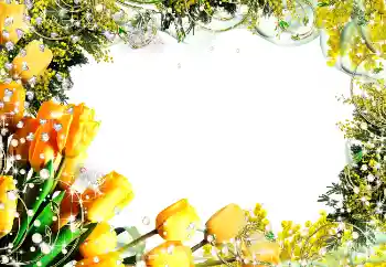 Photo effect from category Women's photo frames № 5582 Photo effect from category Women's photo frames № 5582