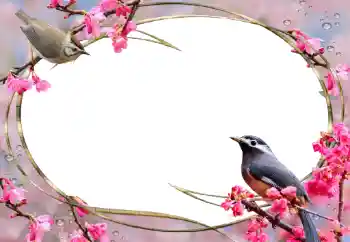 Photo effect from category Women's photo frames № 56627 Photo effect from category Women's photo frames № 56627