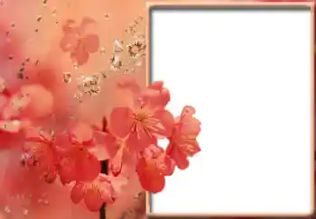 Photo effect from category Women's photo frames № 57711 Photo effect from category Women's photo frames № 57711