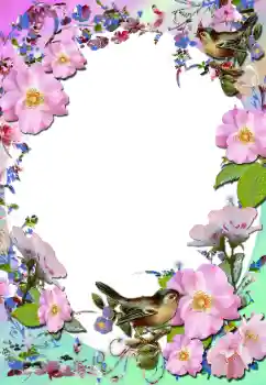 Photo effect from category Women's photo frames № 58779 Photo effect from category Women's photo frames № 58779