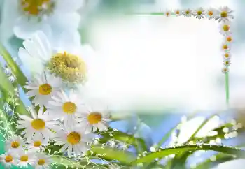 Photo effect from category Women's photo frames № 59087