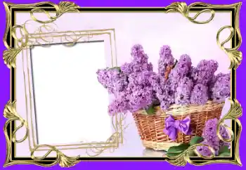Photo effect from category Women's photo frames № 64100