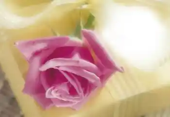 Photo effect from category Women's photo frames № 64263 Photo effect from category Women's photo frames № 64263