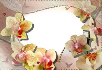 Photo effect from category Women's photo frames № 64386 Photo effect from category Women's photo frames № 64386