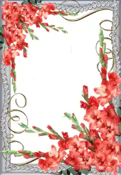 Photo effect from category Women's photo frames № 64491 Photo effect from category Women's photo frames № 64491