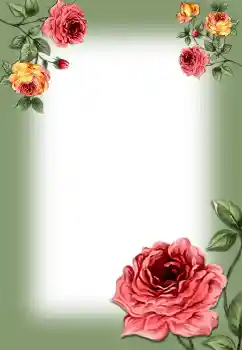 Photo effect from category Women's photo frames № 6509