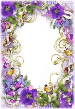 Photo effect from category Women's photo frames № 65580 Photo effect from category Women's photo frames № 65580