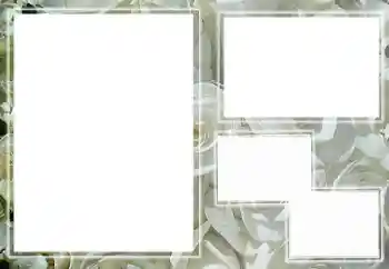 Photo effect from category Women's photo frames № 65658