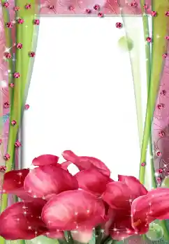 Photo effect from category Women's photo frames № 67316 Photo effect from category Women's photo frames № 67316