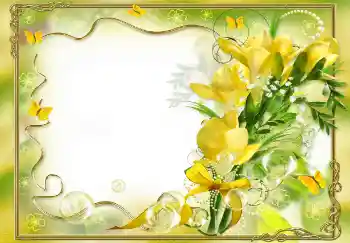 Photo effect from category Women's photo frames № 68458 Photo effect from category Women's photo frames № 68458