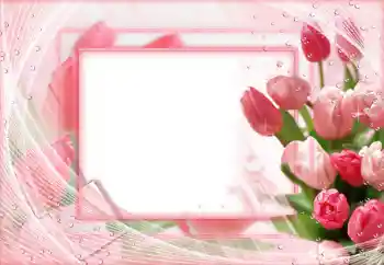 Photo effect from category Women's photo frames № 68546 Photo effect from category Women's photo frames № 68546