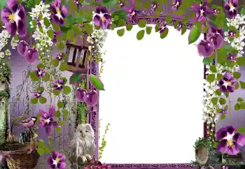 Photo effect from category Women's photo frames № 68582 Photo effect from category Women's photo frames № 68582