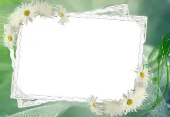 Photo effect from category Women's photo frames № 68583 Photo effect from category Women's photo frames № 68583