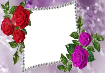 Photo effect from category Women's photo frames № 68618 Photo effect from category Women's photo frames № 68618