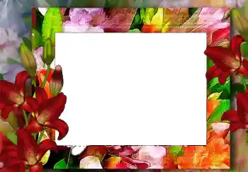 Photo effect from category Women's photo frames № 68619 Photo effect from category Women's photo frames № 68619