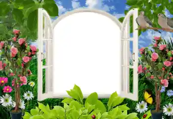 Photo effect from category Women's photo frames № 68628 Photo effect from category Women's photo frames № 68628