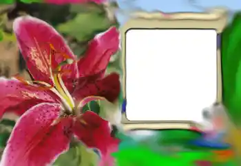 Photo effect from category Women's photo frames № 69843