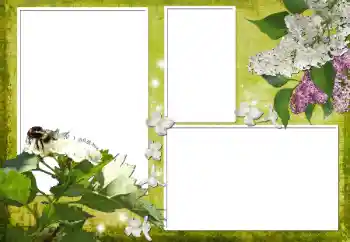 Photo effect from category Women's photo frames № 70903 Photo effect from category Women's photo frames № 70903