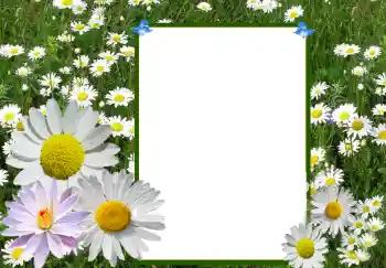 Photo effect from category Women's photo frames № 72360