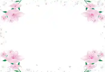 Photo effect from category Women's photo frames № 72430