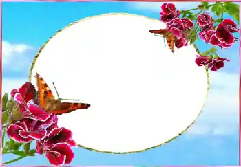 Photo effect from category Women's photo frames № 73784 Photo effect from category Women's photo frames № 73784