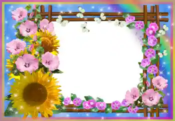 Photo effect from category Women's photo frames № 80252