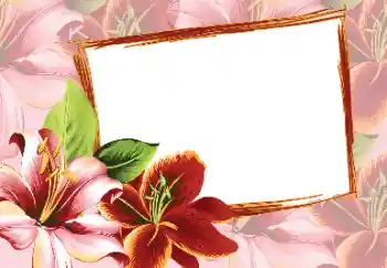 Photo effect from category Women's photo frames № 80320 Photo effect from category Women's photo frames № 80320