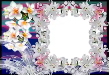 Photo effect from category Women's photo frames № 80383 Photo effect from category Women's photo frames № 80383