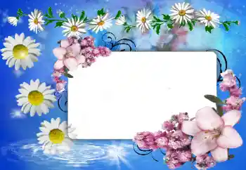 Photo effect from category Women's photo frames № 80388 Photo effect from category Women's photo frames № 80388