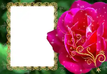 Photo effect from category Women's photo frames № 81488