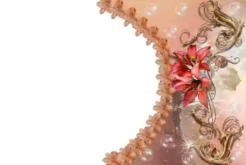 Photo effect from category Women's photo frames № 85309