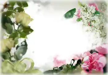 Photo effect from category Women's photo frames № 85356