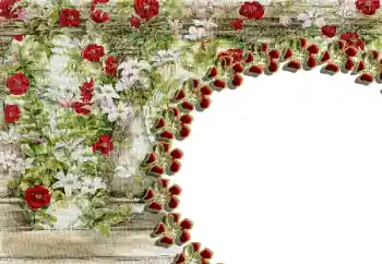 Photo effect from category Women's photo frames № 85429