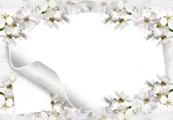 Photo effect from category Women's photo frames № 8554