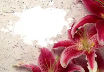 Photo effect from category Women's photo frames № 8596