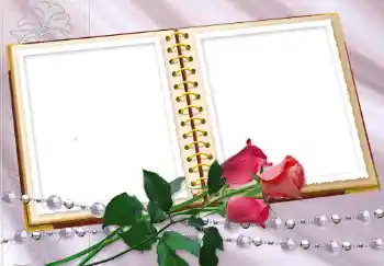 Photo effect from category Women's photo frames № 8629 Photo effect from category Women's photo frames № 8629