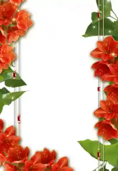 Photo effect from category Women's photo frames № 8632