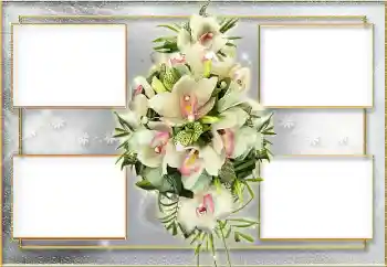 Photo effect from category Women's photo frames № 8637 Photo effect from category Women's photo frames № 8637