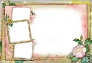 Photo effect from category Women's photo frames № 86591